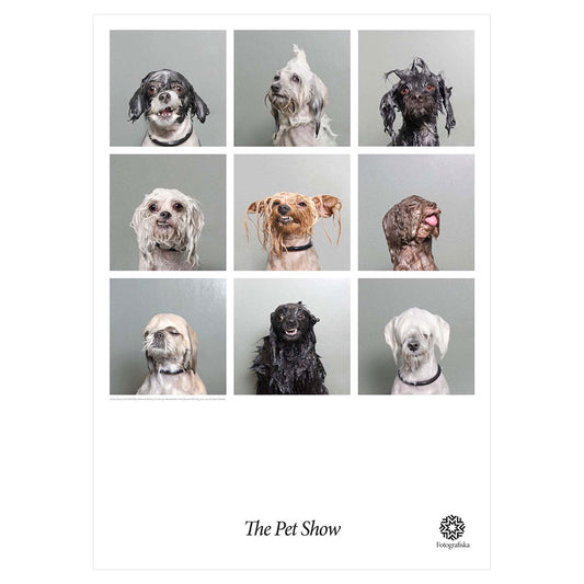 Wet Dogs Poster