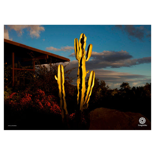 Eli's House Poster | Diana Markosian | Fotografiska Posters