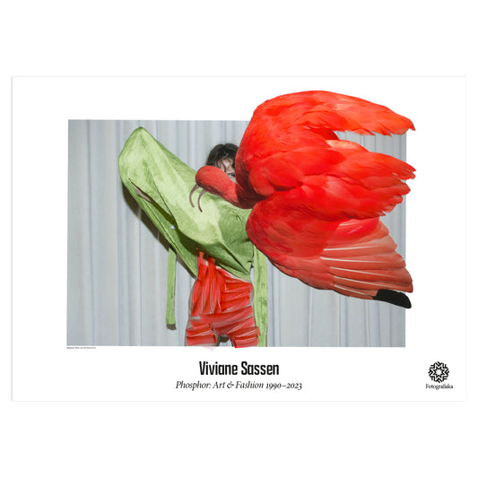 Eudocimus Ruber Poster