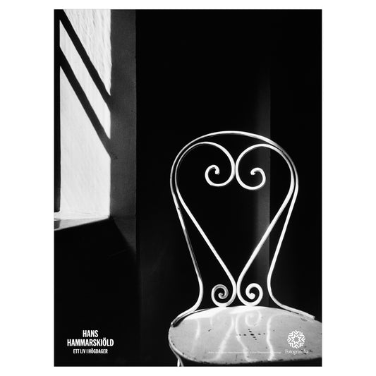 Stolen Poster (30x40 cm)