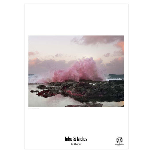 4K Ultra HD I Poster | In Bloom | Fotografiska Shop