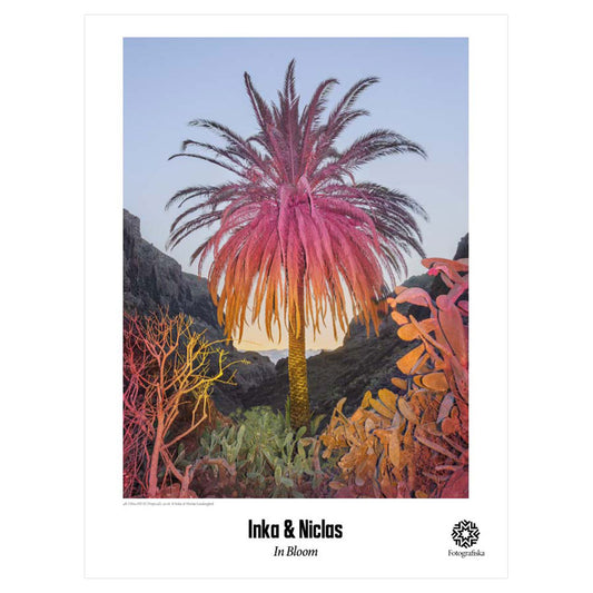 4K Ultra HD II (Tropical) Poster | In Bloom | Fotografiska Shop