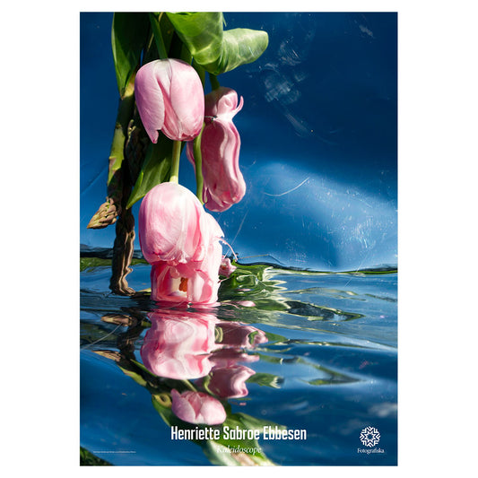 Pink Tulips | Henriette Sabroe Ebbesen | Fotografiska Posters