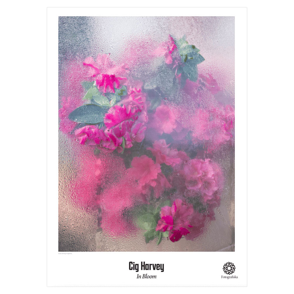 Azaleas Pressing Poster | In Bloom | Fotografiska Shop