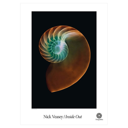 Nick Veasey - "Nautilus Shell" | Fotografiska Posters