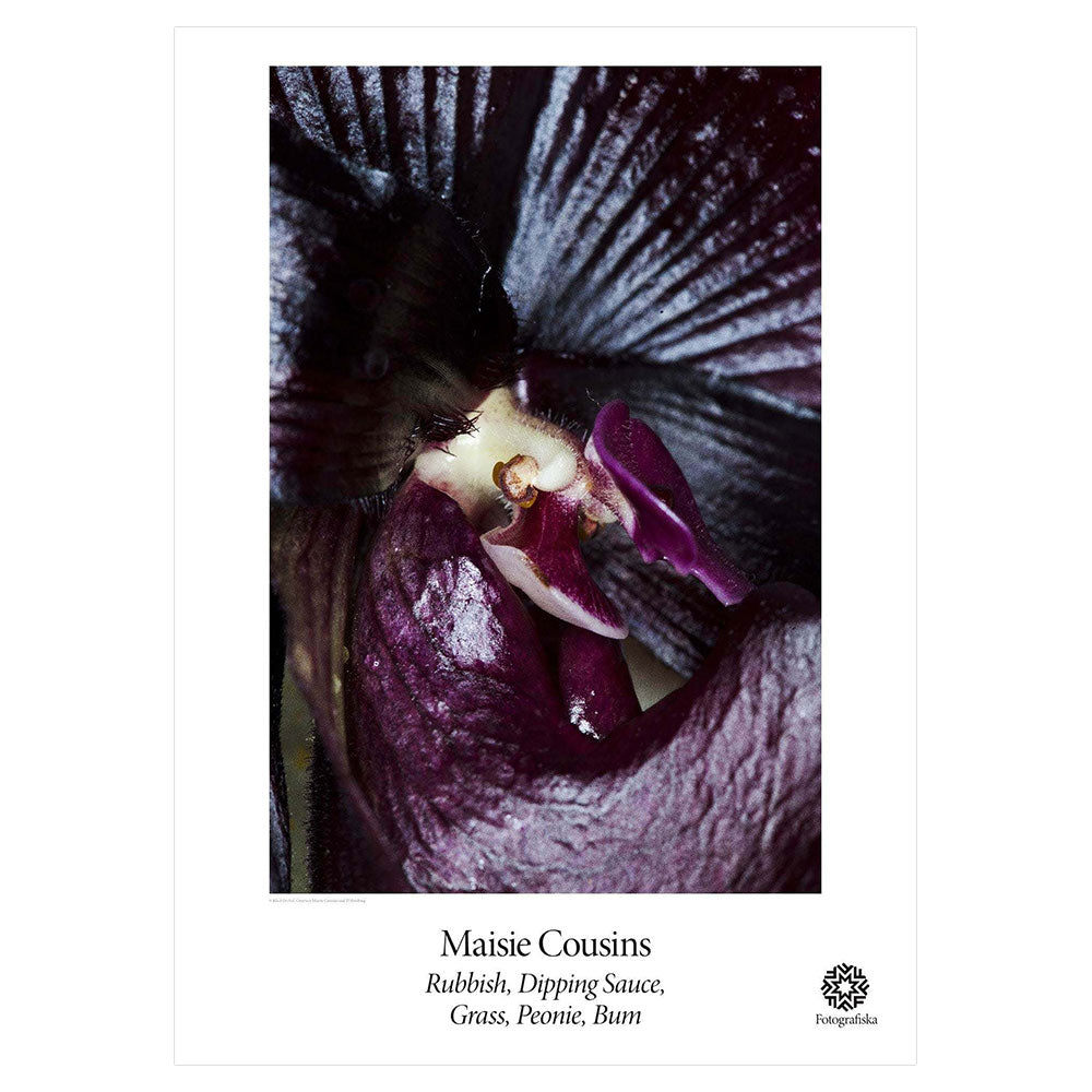 Maisie Cousins | Black Orchid | Fotografiska Posters