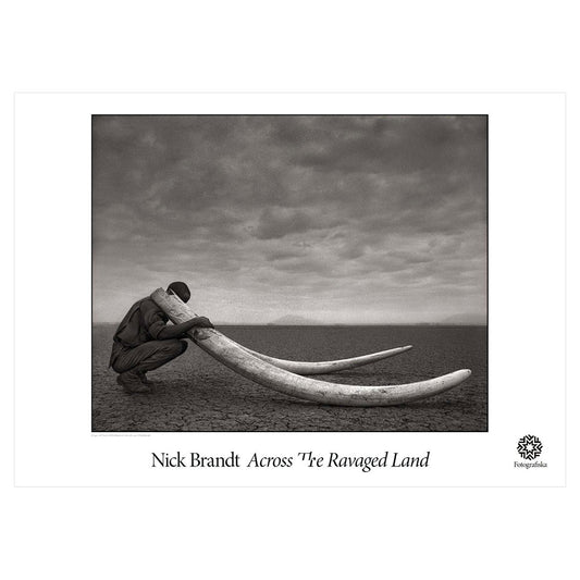 Nick Brandt - "Ranger with tusks of killed elephant" | Fotografiska Posters